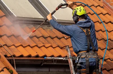 Démoussage et hydrofuge de toiture à Saulgé